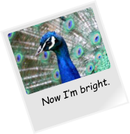 Now I’m bright.